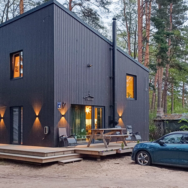 ECO WOOD HOUSE / Riga, Zegelu street / Realized 2022-2024