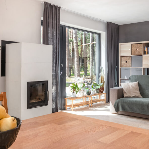 ECO WOOD HOUSE / Riga, Zegelu street / Realized 2022-2024