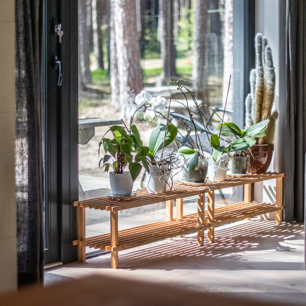 ECO WOOD HOUSE / Riga, Zegelu street / Realized 2022-2024
